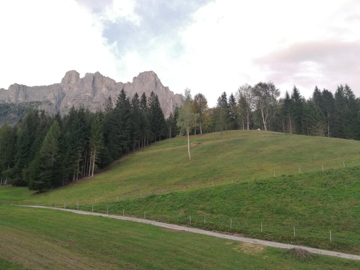 Baita Pra Petina Pale Di San Martino Siror Ngoại thất bức ảnh