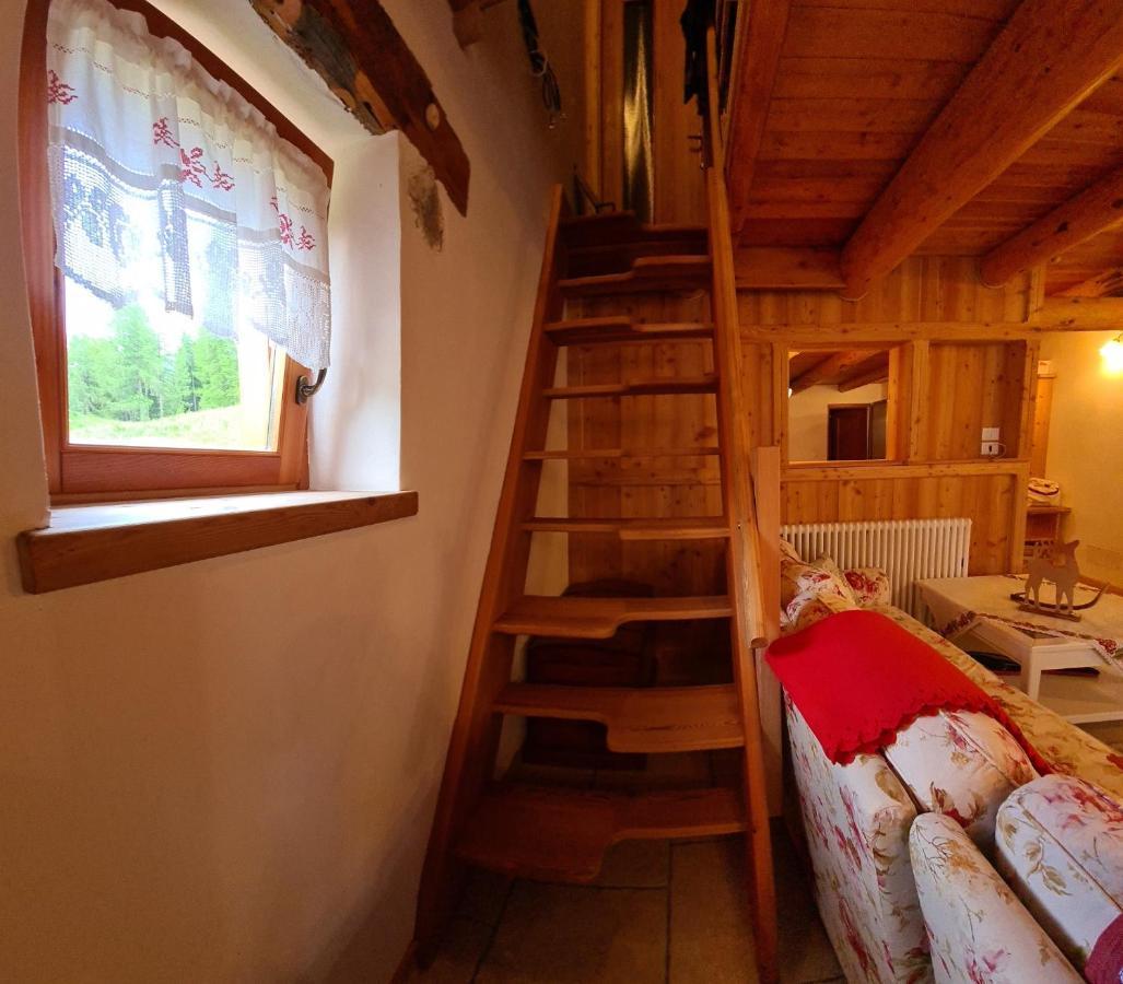 Baita Pra Petina Pale Di San Martino Siror Ngoại thất bức ảnh