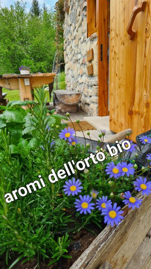 Baita Pra Petina Pale Di San Martino Siror Ngoại thất bức ảnh
